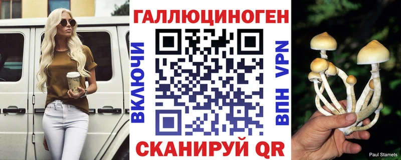 Галлюциногенные грибы Psilocybine cubensis  блэк спрут сайт  Городец 