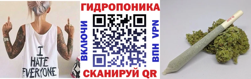 Каннабис индика  где можно купить   Городец 